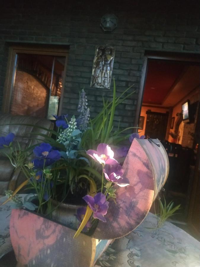 Guest House 利沃夫 外观 照片