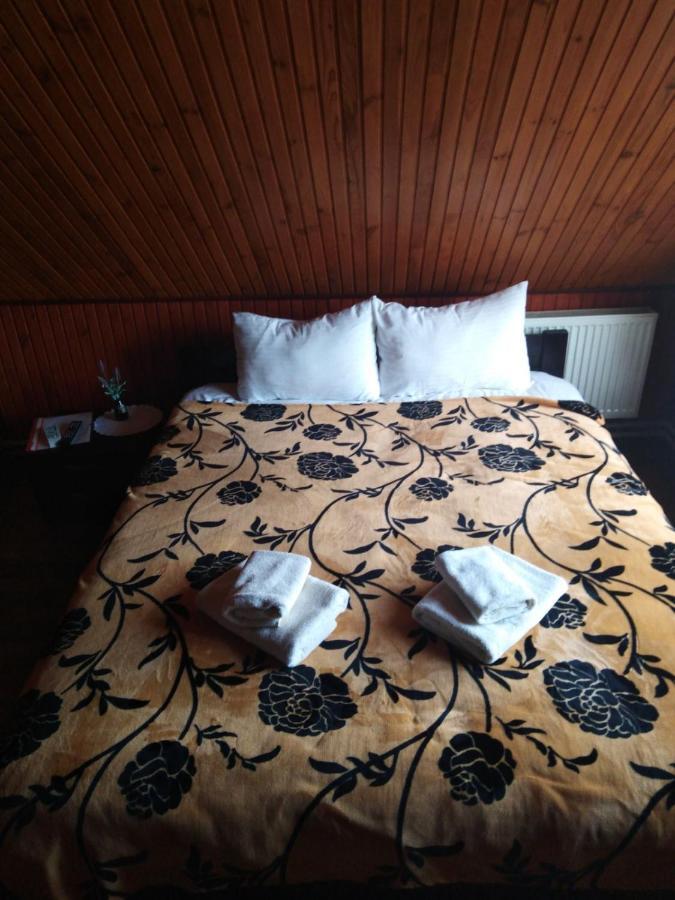 Guest House 利沃夫 外观 照片