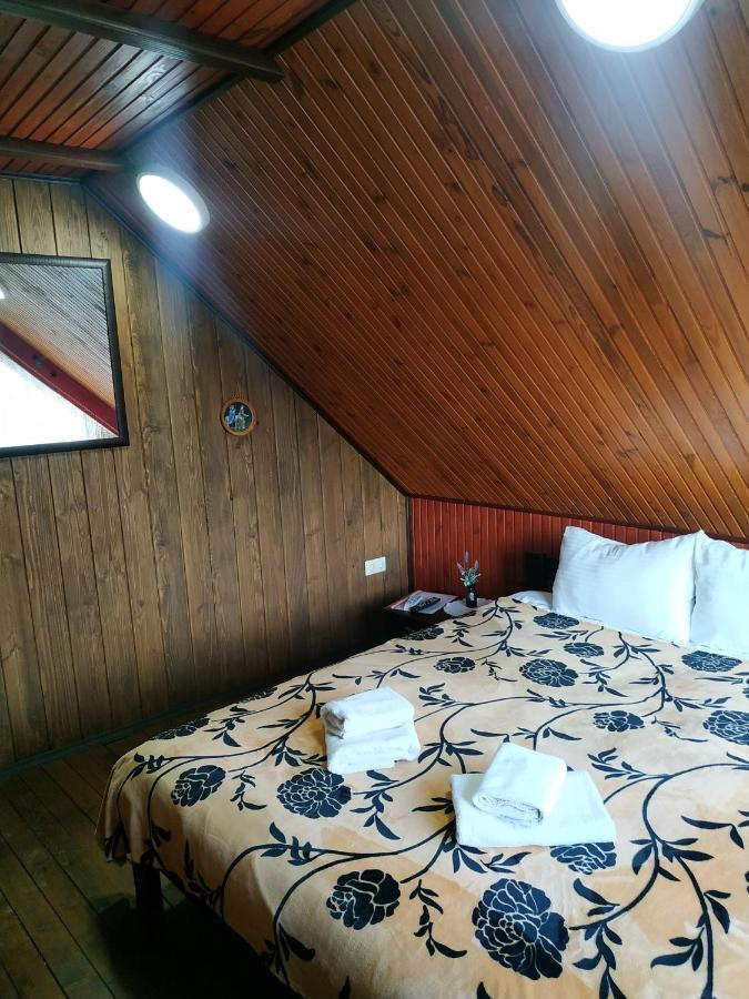 Guest House 利沃夫 外观 照片